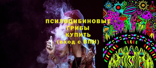 хмурый Алексин