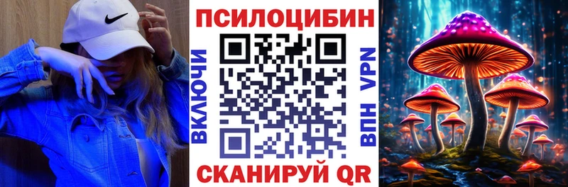 где купить наркотик  Новозыбков  Галлюциногенные грибы Psilocybe 