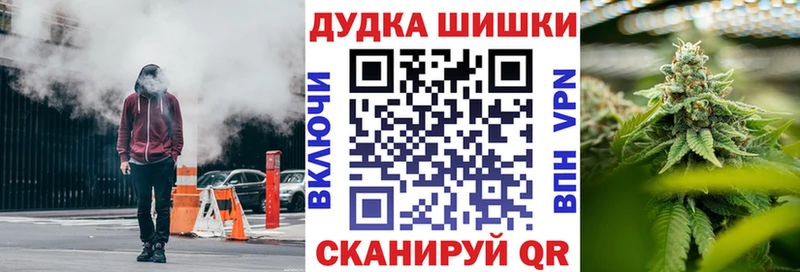 Конопля ГИДРОПОН как найти наркотики Новозыбков